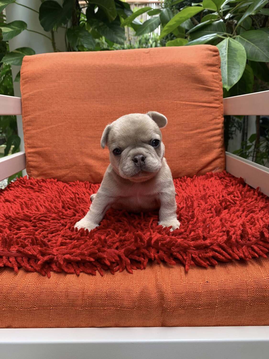 <span style="font-weight: bold;">Marcel</span>