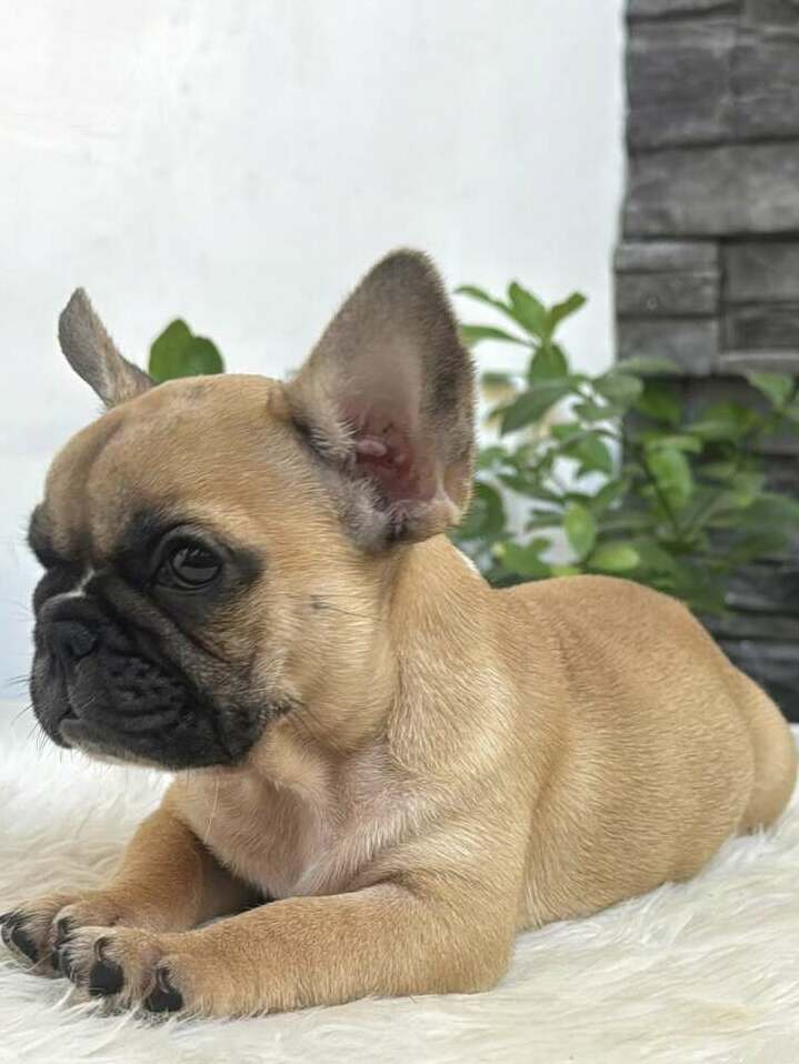 <span style="font-weight: bold;">Amy</span>