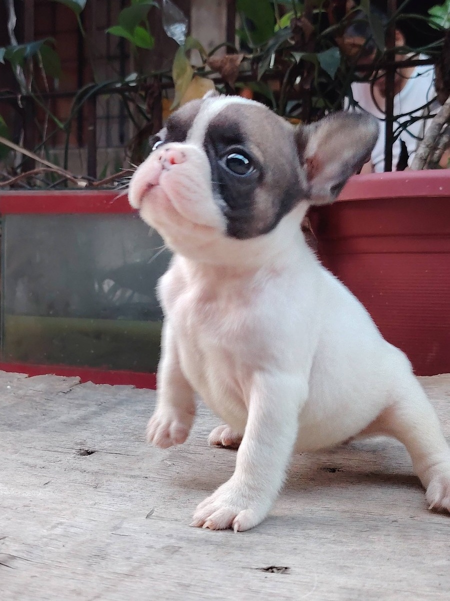 <span style="font-weight: bold;">Rusty&nbsp;</span>